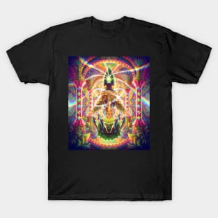 Death by Astonishment T-Shirt